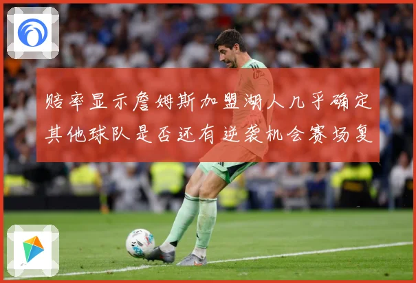 赔率显示詹姆斯加盟湖人几乎确定其他球队是否还有逆袭机会赛场复盘
