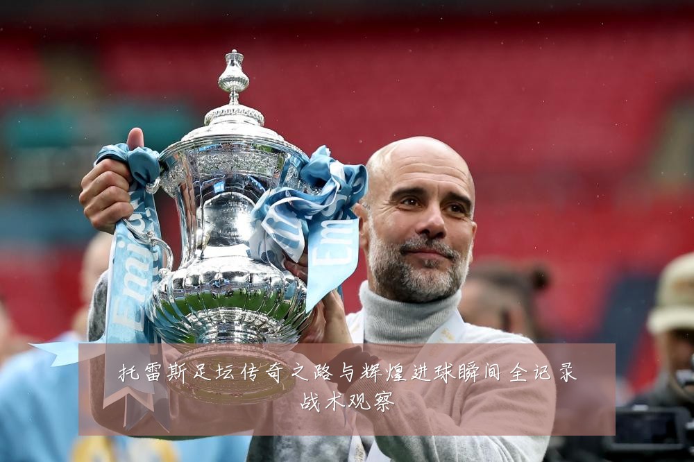 托雷斯足坛传奇之路与辉煌进球瞬间全记录战术观察